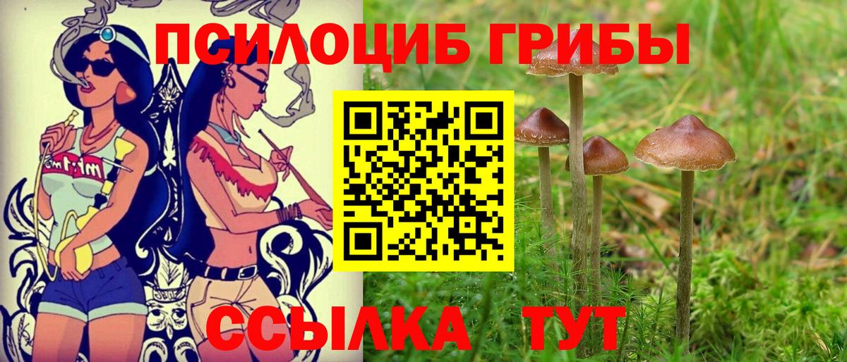 ГАШИШ Касимов