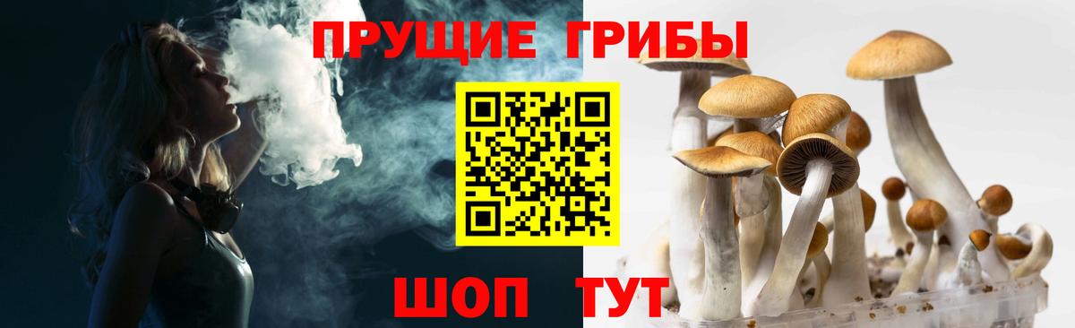 Галлюциногенные грибы GOLDEN TEACHER  Вход с VPN  Псилоцибиновые грибы Psilocybine cubensis  продажа наркотиков  Касимов 